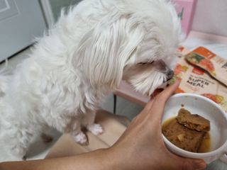 노지혜님이 올린 리뷰 사진 3
