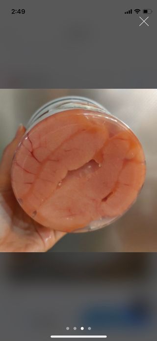 JJu’spapa님이 올린 리뷰 사진 4