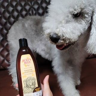 lemoniee님이 올린 리뷰 사진 1