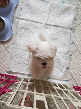 곽현정님이 올린 리뷰 사진 3