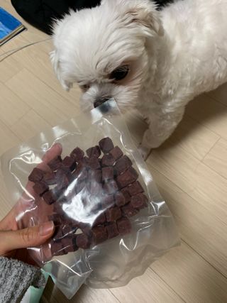 My Pet Care 천연단백질 눈건강에 개좋아 — 5점을 준 리뷰어가 2021년 1월 올린 사용 사진