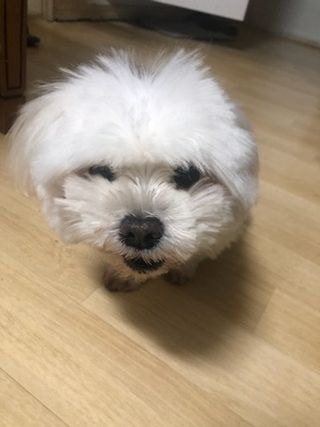 simon Kim님이 올린 리뷰 사진 3