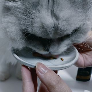 복순이님이 올린 리뷰 사진 3
