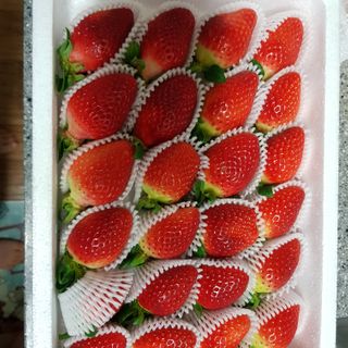옳음 딸기 논산 설향 딸기 900g 산지직송 — 5점을 준 리뷰어가 2021년 1월 올린 사용 사진