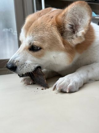 슬이님이 올린 리뷰 사진 3