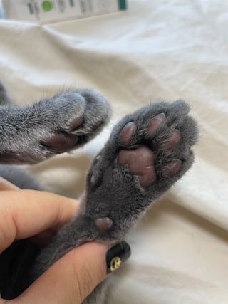 여온님이 올린 리뷰 사진 2