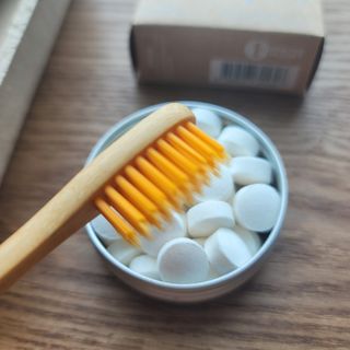 [닥터노아] 마루 대나무 칫솔 콤팩트 & 고체 치약 — 5점을 준 리뷰어가 2022년 7월 올린 사용 사진