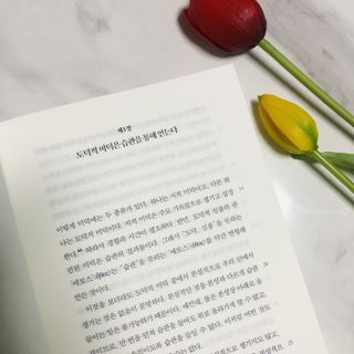 슨슨이님이 올린 리뷰 사진 2