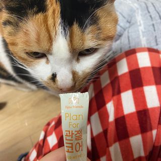 플랫님이 올린 리뷰 사진 3