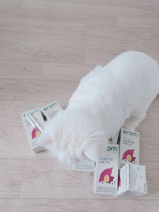 내친구꾸꾸님이 올린 리뷰 사진 4