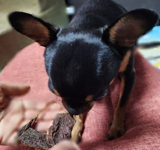 푸둘님이 올린 리뷰 사진 3