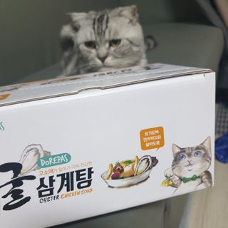 이째님이 올린 리뷰 사진 2