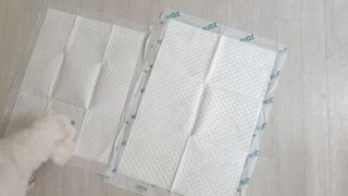 고롸고롸고롸님이 올린 리뷰 사진 2