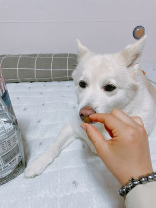 bori0924님이 올린 리뷰 사진 3