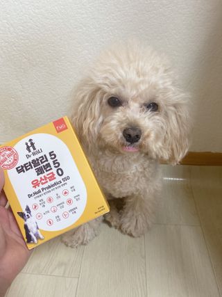 마이츄님이 올린 리뷰 사진 3