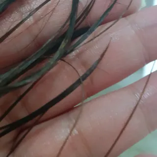 라로지크 X3 리페어 퍼퓸 헤어팩 150mℓ — 4점을 준 리뷰어가 2021년 12월 올린 사용 사진
