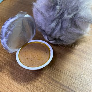 덴비닝님이 올린 리뷰 사진 2