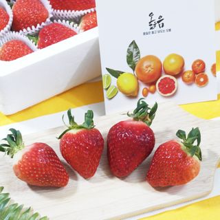 옳음 딸기 논산 설향 딸기 900g 산지직송 — 5점을 준 리뷰어가 2021년 2월 올린 사용 사진
