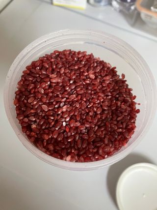 하나로라이스 기능성쌀 5종 1kg  환경을 생각한 다회용 용기 사용 — 5점을 준 리뷰어가 2022년 1월 올린 사용 사진