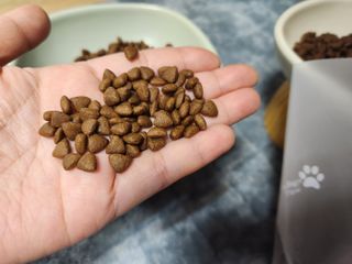 홍블리님이 올린 리뷰 사진 3