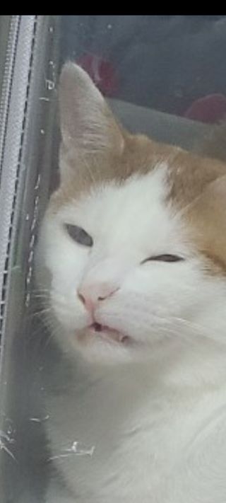 ㅎㄴㅇㅅㅇ님이 올린 리뷰 사진 2