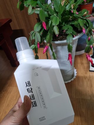 호두맞팔해요님이 올린 리뷰 사진 3