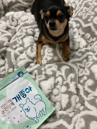 My Pet Care 천연단백질 눈건강에 개좋아 — 5점을 준 리뷰어가 2021년 2월 올린 사용 사진