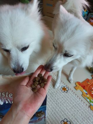 조원동새댁님이 올린 리뷰 사진 3