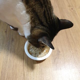 미애님이 올린 리뷰 사진 2