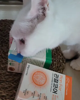 대박이님이 올린 리뷰 사진 3