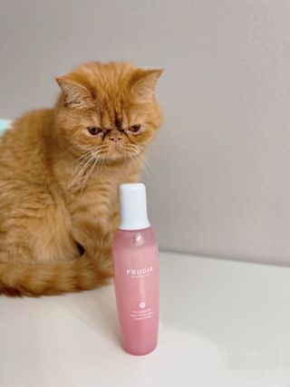 딸기우유님이 올린 리뷰 사진 4