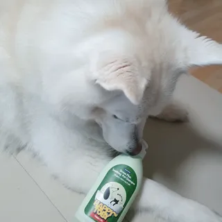 딸랑구둘🥰님이 올린 리뷰 사진 3