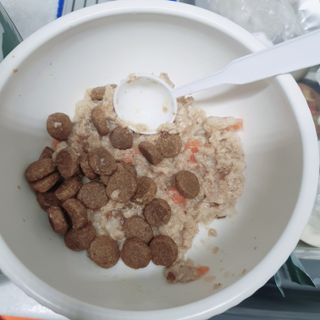 김이설님이 올린 리뷰 사진 3