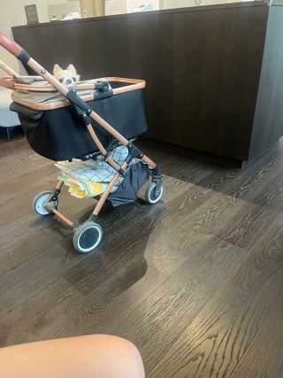Lucy님이 올린 리뷰 사진 3