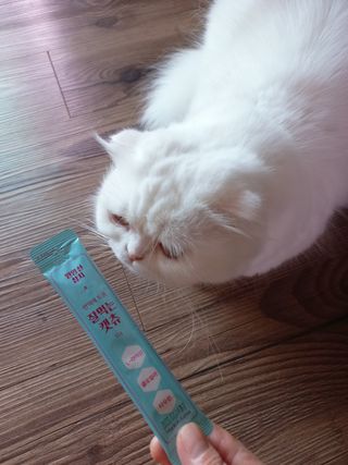 페페로니 잘 먹는 캣츄 - 원양선 참치 24개입 — 5점을 준 리뷰어가 2021년 8월 올린 사용 사진