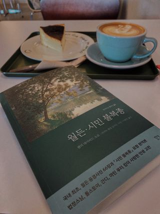 dododorothy님이 올린 리뷰 사진 1