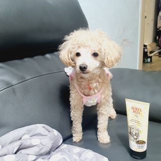 재님이 올린 리뷰 사진 4