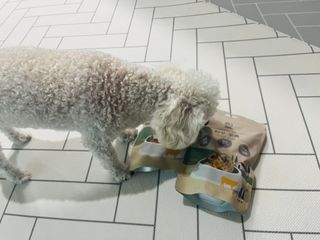 도우너님이 올린 리뷰 사진 3