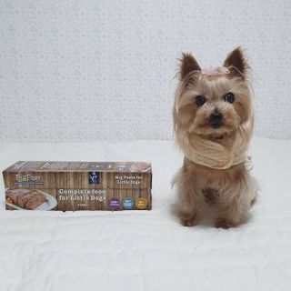 솜희님이 올린 리뷰 사진 1