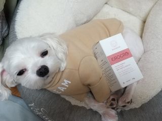 펫21 그로그로 5종 강아지 고양이 반려동물 한방 영양제 — 5점을 준 리뷰어가 2021년 11월 올린 사용 사진