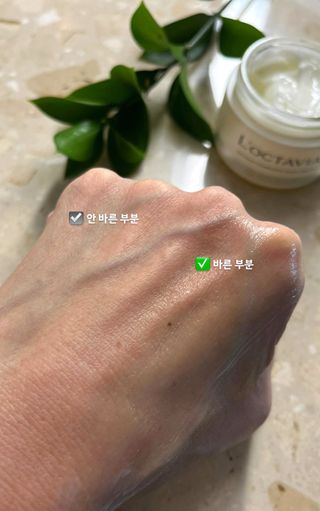 록타비아 Artisan Complete Face Cream — 3점을 준 리뷰어가 2023년 10월 올린 사용 사진