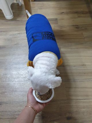 진진이님이 올린 리뷰 사진 3