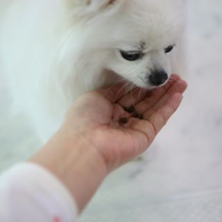 털털미녀님이 올린 리뷰 사진 1