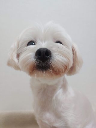 나뿡님이 올린 리뷰 사진 1