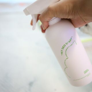 털털미녀님이 올린 리뷰 사진 3