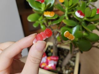 투엘홀릭님이 올린 리뷰 사진 3