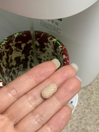 코랑이님이 올린 리뷰 사진 1
