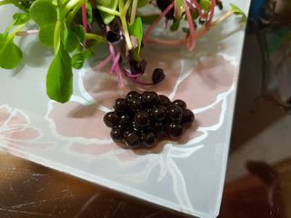 MiSeonKim님이 올린 리뷰 사진 2