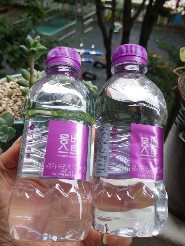 [MONTBEST] 330mL 20병 리뷰 사진