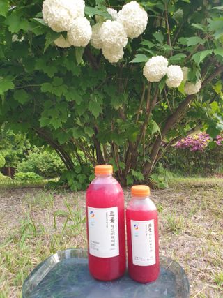 트롯전통식혜 트롯레드비트식혜 1리터 +500리터 — 5점을 준 리뷰어가 2021년 5월 올린 사용 사진